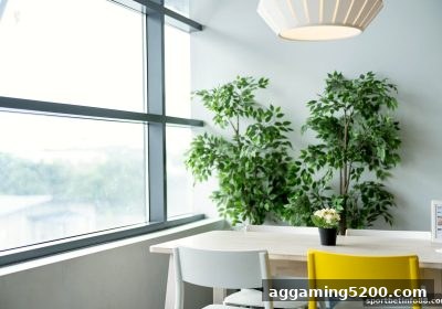 从体育投注网站看串关桌游：团队协作的终极指南