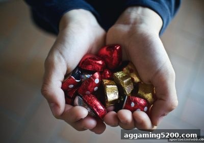 体育投注网站亏损保障活动全解析：博狗会员专属福利